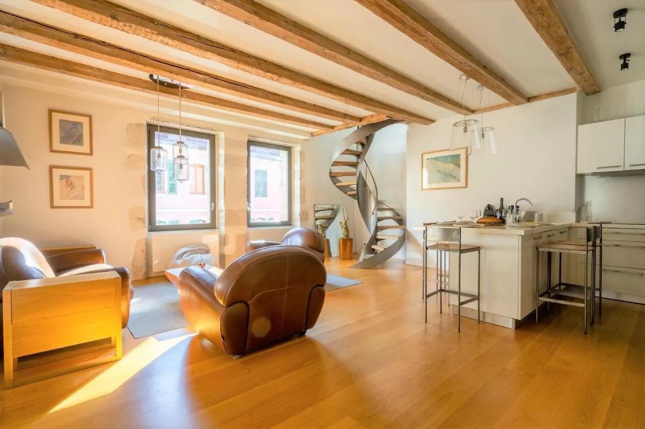 Cabana & Le Grand Duplex Proche Esplanade Apartment Annecy France
