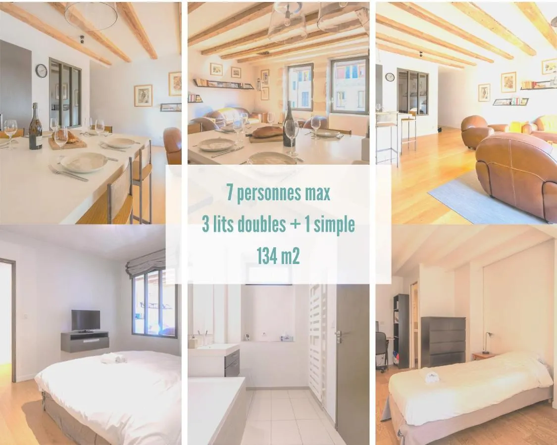 Cabana & Le Grand Duplex Proche Esplanade Apartment Annecy France